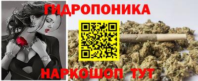 эйфоретик Аргун