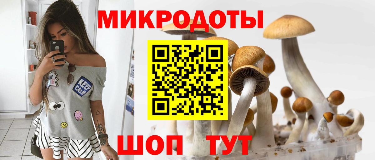 Псилоцибиновые грибы Psilocybe  Псилоцибиновые грибы мухоморы  Дзержинск  где купить наркотик  Вход с VPN 